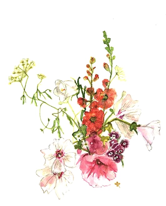 Workshop Aquarel, Bloemen